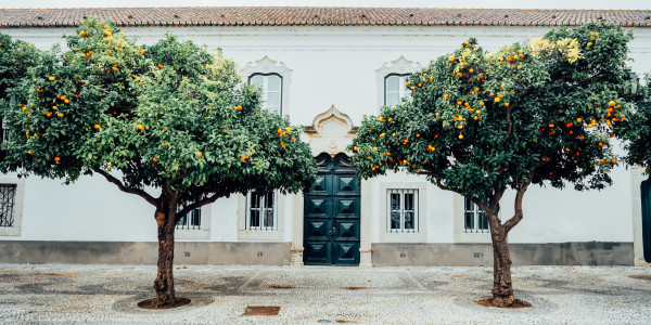 Alquiler de Espacios para Fiestas, Eventos y Celebraciones Sociales en Girona · Exposición de Arte